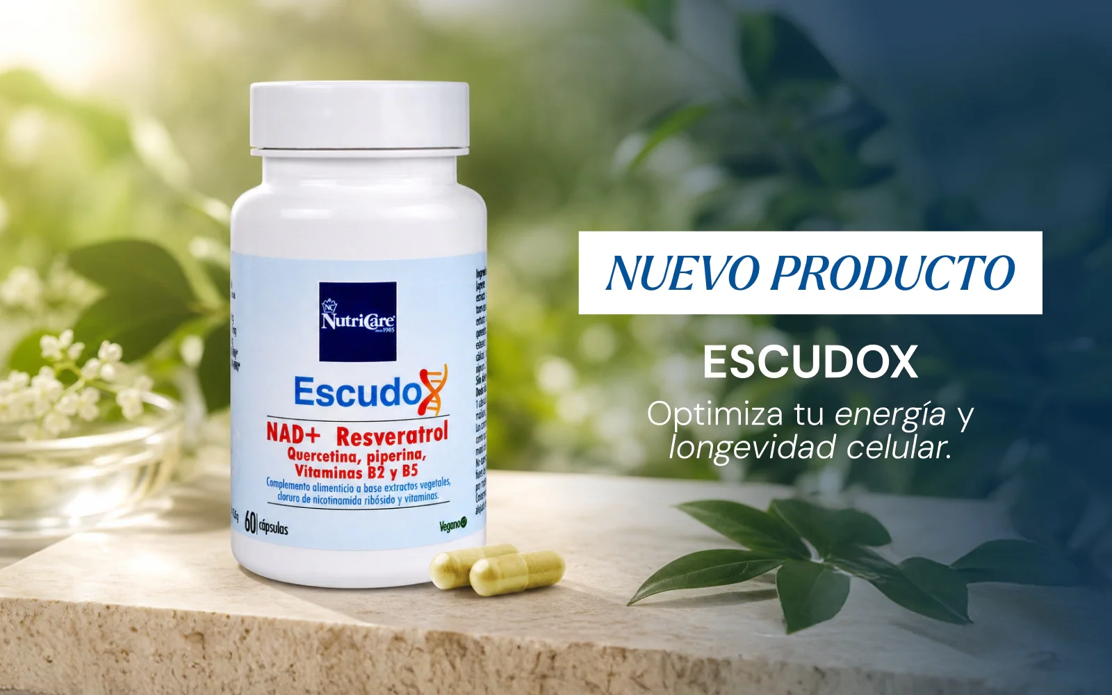 Transforma tu vida hoy mismo